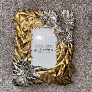 Hobby Lobby Robert Stanley Poinsettia Frame!